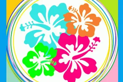 פאזל של multicolor