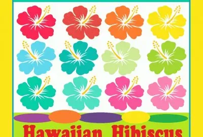 multicolor jigsaw puzzle