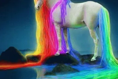 imagens