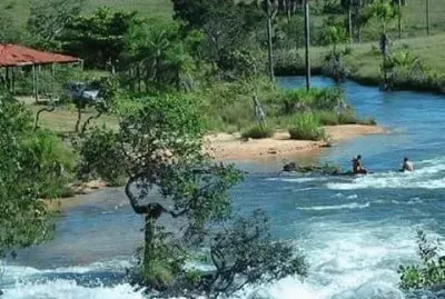 imagens
