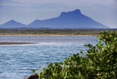 cerro Santa Ana Paraguana 1