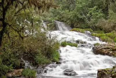 Salto Piedras Blancas. Misiones. Argentina
