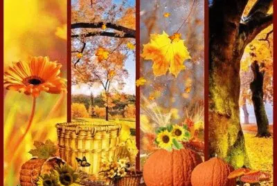 Bunt jigsaw puzzle