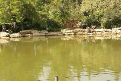 ×‘×¨×™×›×ª ×”× ×•×™