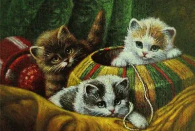 gatinhos