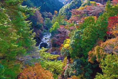 FOTO 9 jigsaw puzzle