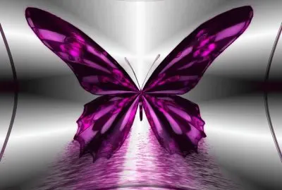 פאזל של mariposa