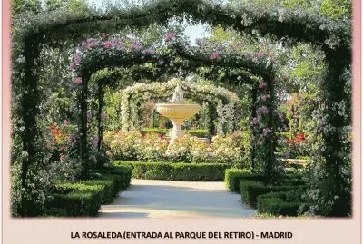 LA ROSALEDA - ENTRADA AL PARQUE DEL RETIRO