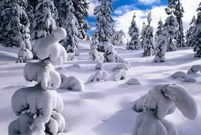 Snowy Day