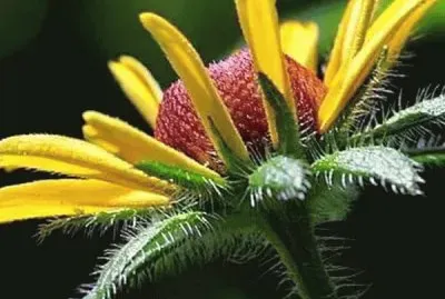 imagens jigsaw puzzle