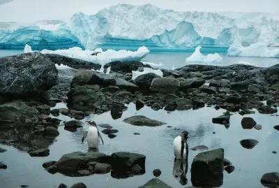 En la AntÃ¡rtida Argentina