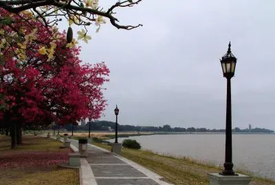 En la Ciudad de Santa Fe. Argentina
