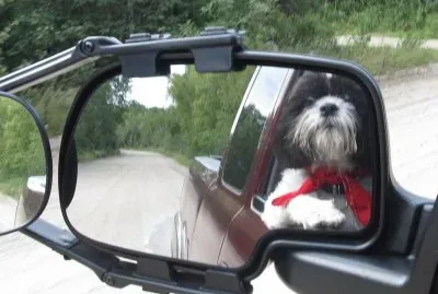 Hangin ' out with my dad driving through the woods