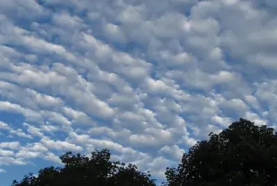 Rippled Clouds