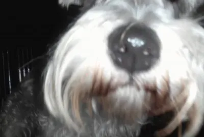 isabelesparza jigsaw puzzle