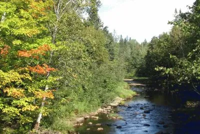 Mullin 's Stream