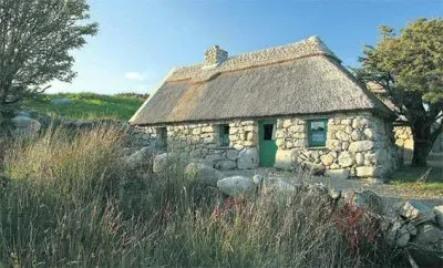 NATUREZA jigsaw puzzle