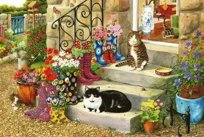 gatos