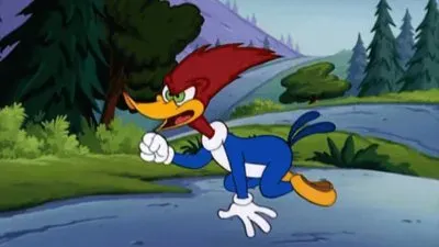 pajaro loco jigsaw puzzle