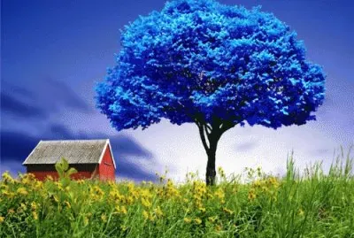 NATUREZA