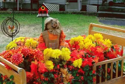 Cute Fall Decorations