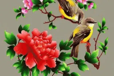 פאזל של imagens