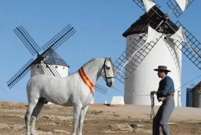 Caballos