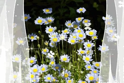 todo paisaje jigsaw puzzle