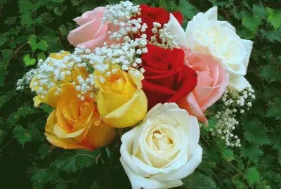 (42) BuquÃª de Flores