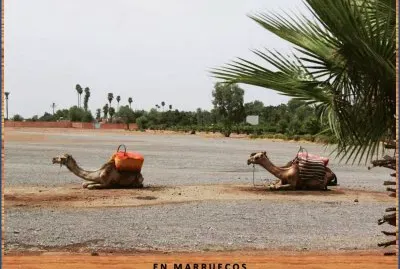 EN MARRUECOS