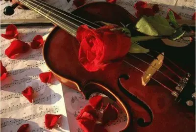 sonidos jigsaw puzzle