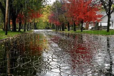 lluvia jigsaw puzzle