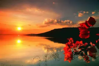 horizonte jigsaw puzzle