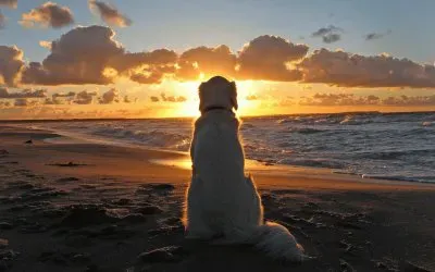 mirando el mar
