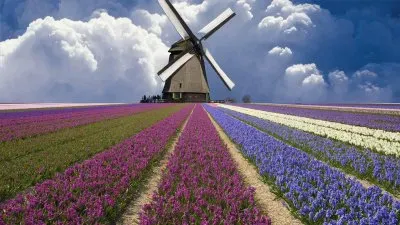 todo paisaje jigsaw puzzle