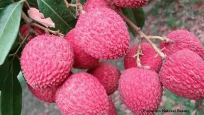 פאזל של imagens