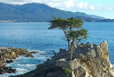 NATUREZA