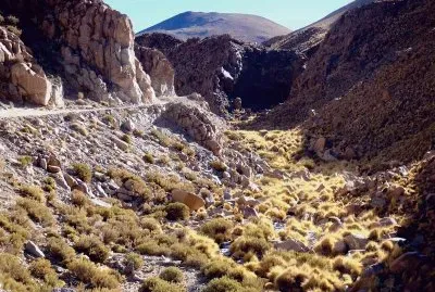 A la vera de la RP 129. Salta. Argentina