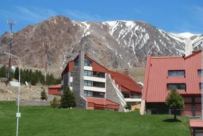 Las LeÃ±as. Mendoza. Argentina