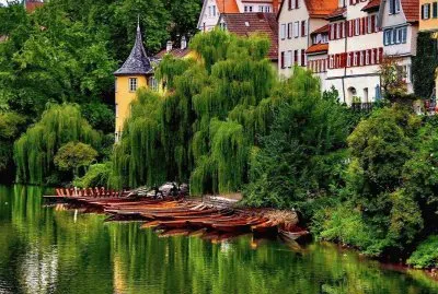 belleza jigsaw puzzle