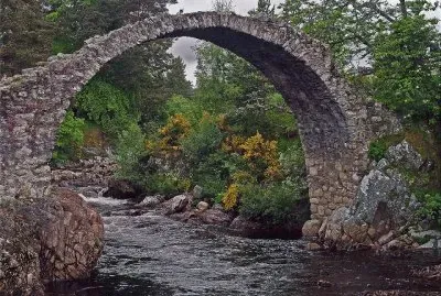 the bridge