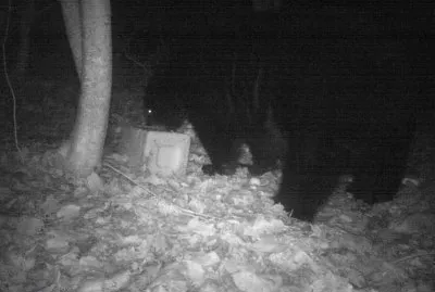 Hello there big fella !        LJ