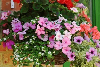 (103) Vaso de Flores