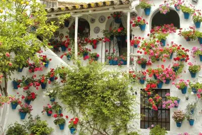 Patio CordobÃ©s