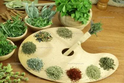 Hierbas aromaticas