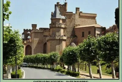 CASTILLO PALACIO REAL - OLITE (NAVARRA)
