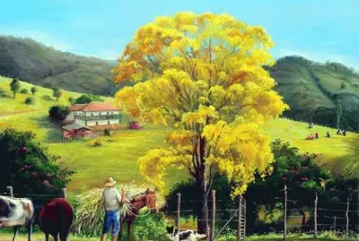 ipÃª