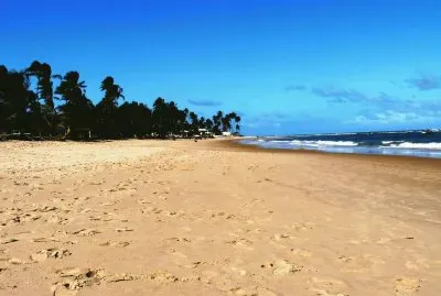 Praia do Forte. Salvador de Bahia