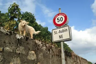 La SecuritÃ© jigsaw puzzle