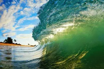 !!!!! Fuerza Natural !!!!